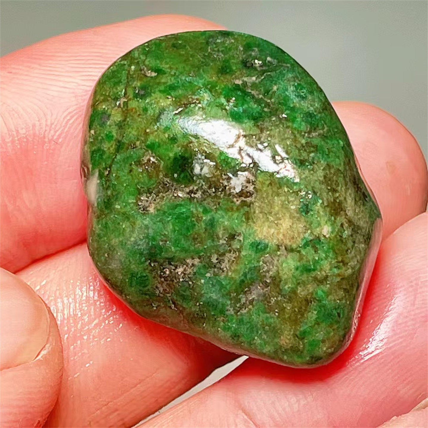 T15298 精品缅甸天然翡翠原石老坑后江场口色料戒面料  重13克