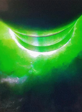 XZ89075缅甸天然翡翠原石老坑木那场口色料 重8.9公斤