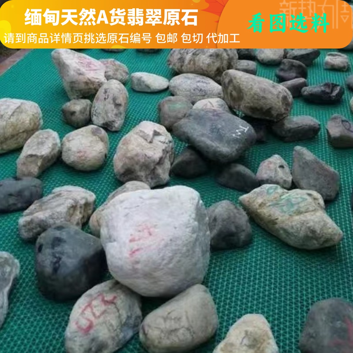 精选缅甸天然A货翡翠原石莫湾基莫西沙大马砍木那场口玉石50元/块