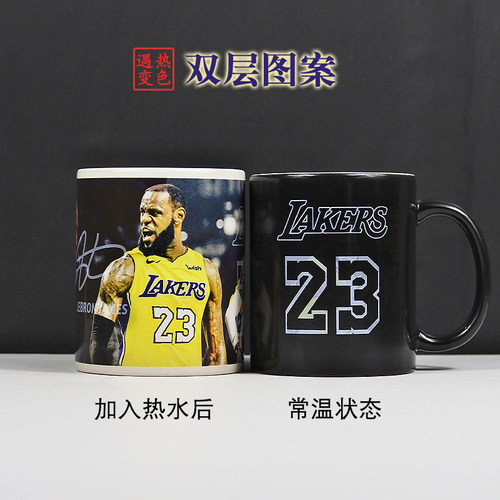 詹姆斯变色杯双层图案