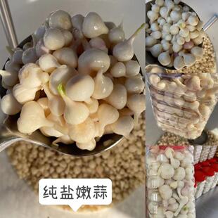 寿县农村小蒜当季 即食 新鲜嫩蒜新腌制脆嫩饱满爽口辛辣下饭菜瓶装