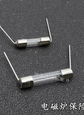 15安250V电磁炉保险丝管带引线脚大保险玻璃管 电磁炉配件