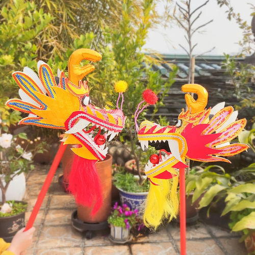 幼儿童舞龙头龙宝龙灯学生道具