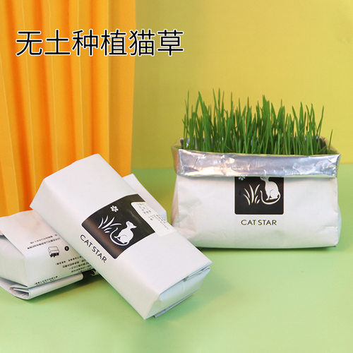 Cc家猫草懒人猫草猫拌粮无土水培进口猫草种子套装去毛球盆栽猫草