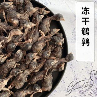 Cc家猫冻干鹌鹑猫零食猫咪狗狗宠物营养零食无添加奖励整只小鹌鹑