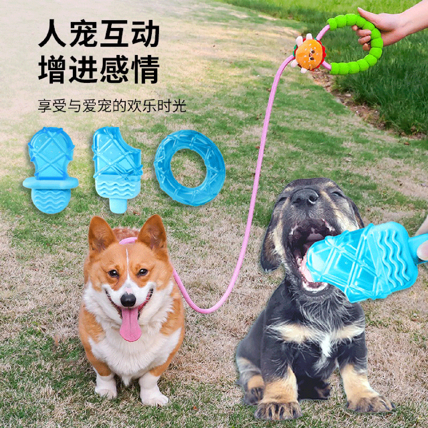 夏季降温解暑冰冻冰棒牵引绳