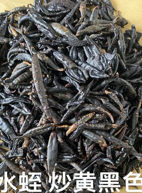 食其时 吸血水蛭 日本医蛭 去足翅虻虫 倪海厦  子宫肌瘤