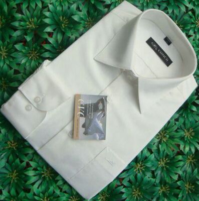 海螺乳白色男士职业装长袖衬衫