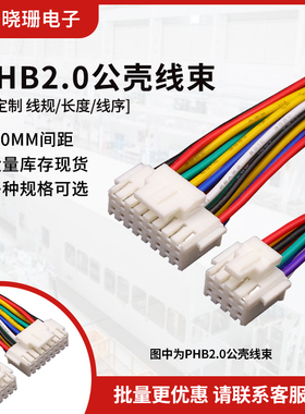 PHB端子线2.0mm间距 双排带扣电子线26awg单双头连接线2*2P-2*12P