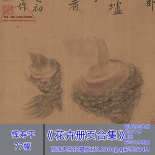 清代恽寿平恽南田/花卉册页/中国画写生花卉册图谱小写意没骨画谱