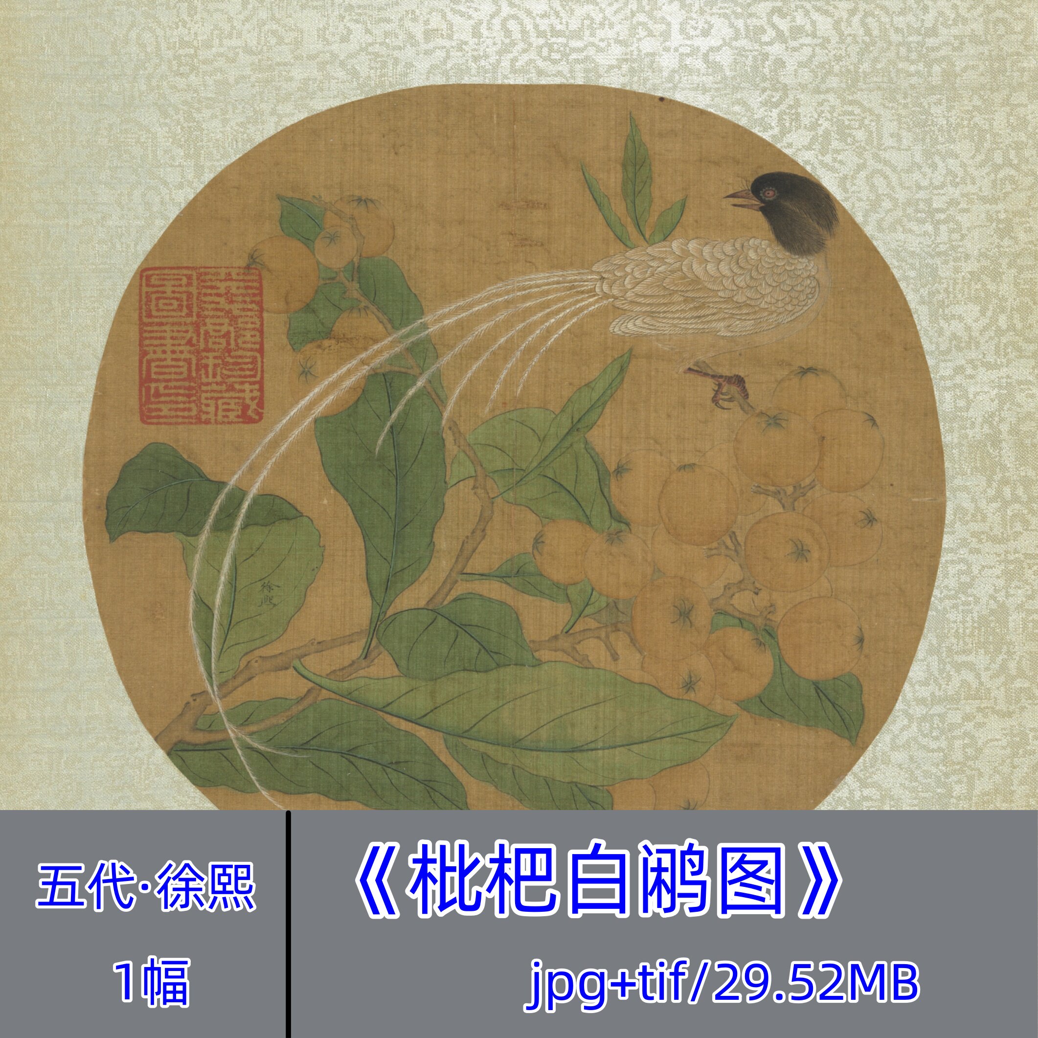 五代徐熙枇杷白鹇图/徐熙野逸中国画高清图片工笔花鸟古画原图
