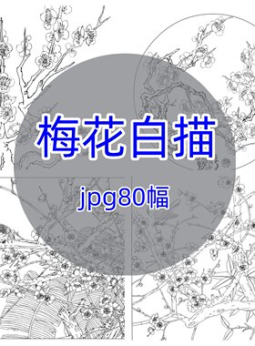 梅花白描80幅/中国画工笔花卉高清底稿线稿花鸟古风插画电子素材