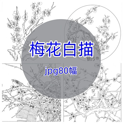 梅花白描80幅/中国画工笔花卉高清底稿线稿花鸟古风插画电子素材