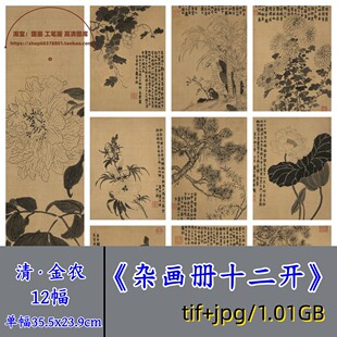 清代金农杂画册十二开/国画写意写生花卉图册丹青水墨集电子版