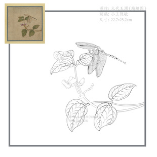 元代王渊蜻蜓图白描稿+彩图/宋代小品宋画临摹勾线稿电子版素材