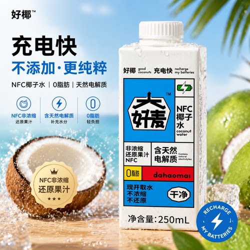 大好麦椰子水250ml商用生椰拿铁咖啡奶茶店专用椰萃纯椰子水椰汁