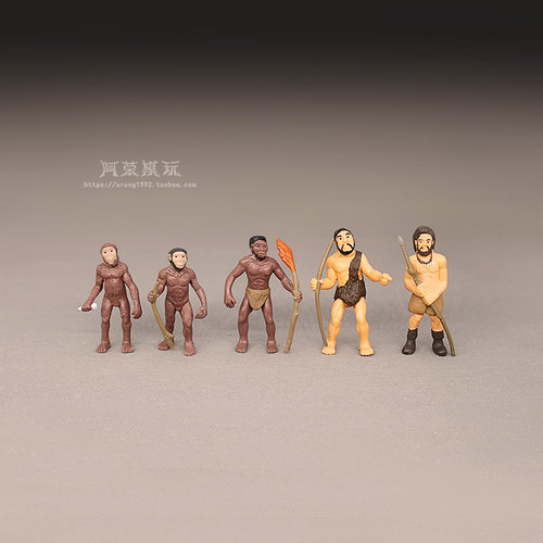 仿真小号人类进化教具模型古猿
