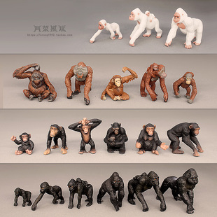 认知仿真灵长类野生动物模型 白化大猩猩非洲黑猩猩摆件儿童玩具