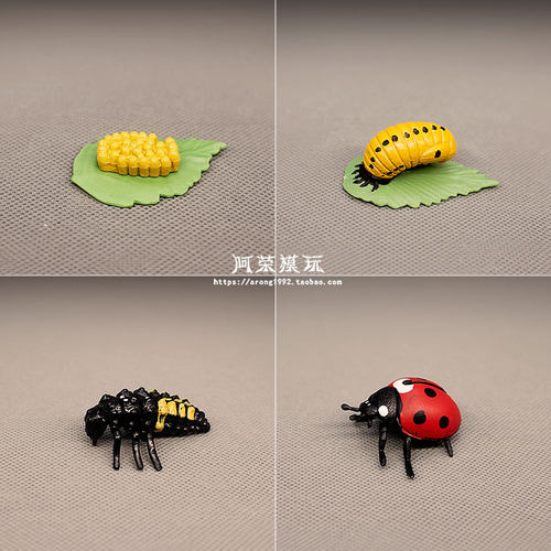 昆虫动物模型认知玩具