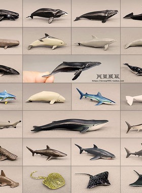 海洋世界滴胶素材 迷你海洋动物模型 蓝鲸抹香鲸灰鲸鲨鱼海豚蝠鲼