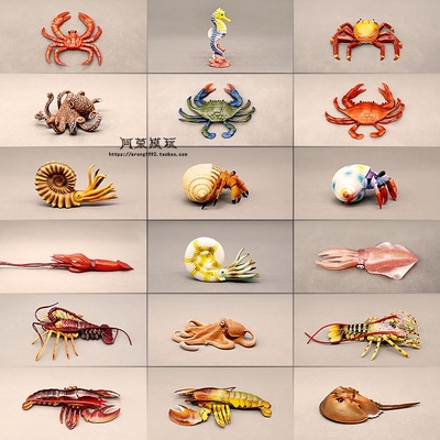 海洋世界仿真动物模型