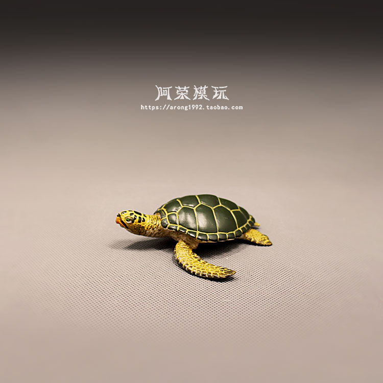仿真认知海洋动物模型海龟散货