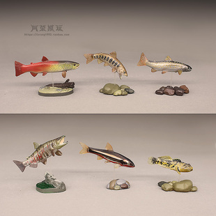 COLORATA淡水鱼原生鱼模型杜父鱼红点鲑鱼大马哈鱼哲罗鱼香鱼摆件
