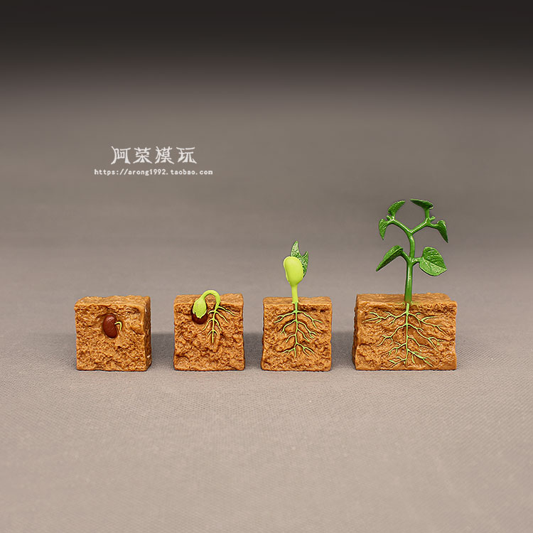 认知玩具教学教具豆类小摆件模型