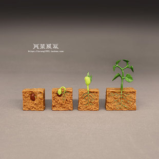 认知玩具教学教具豆类植物生长周期模型 播种发芽过程展示小摆件