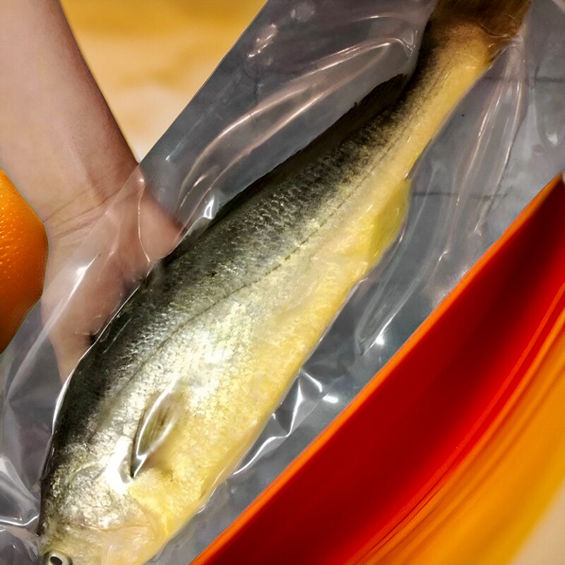 宁波特产舟山大黄鱼2条深海黄花鱼新鲜速冻发货海鲜水产