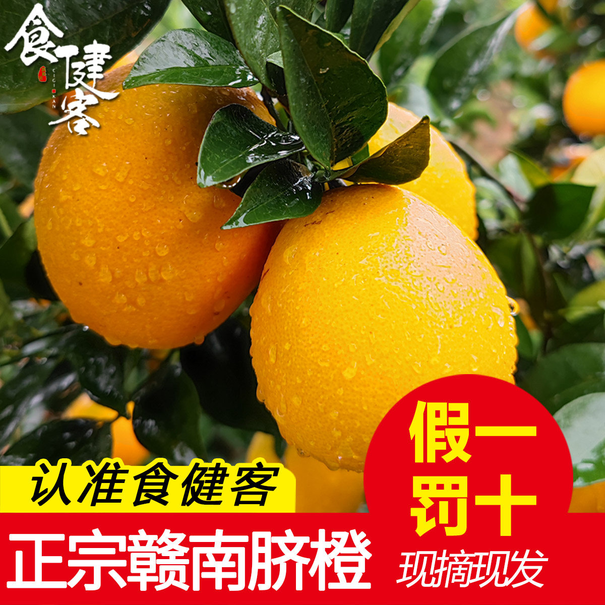 【20斤原产地直发】正宗赣南脐橙寻乌江西橙特产赣州橙子农家鲜果