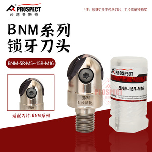 12.5R 普斯特数控车床辅助锁牙刀头精镗连接杆BNM BNM M12