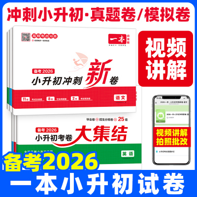 一本小升初冲刺新卷真题卷