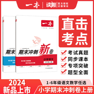试卷真题试题卷子 期末试卷 一本小学语文数学期末冲刺新卷RJ版 一二三四五六年级上册专项模拟真题冲刺卷期中期末冲刺100分