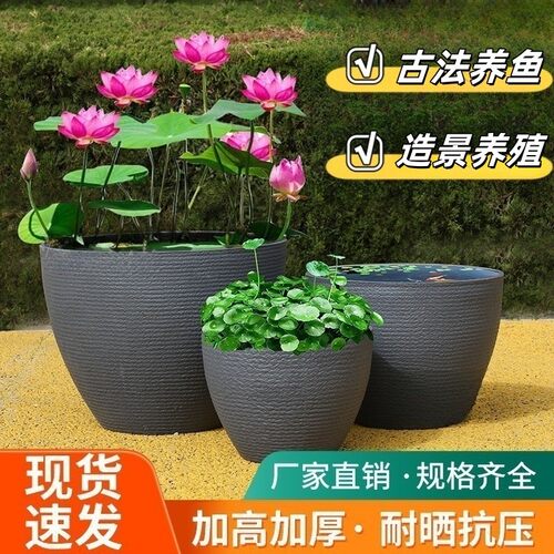 加厚塑料树脂荷花碗莲大号花盆