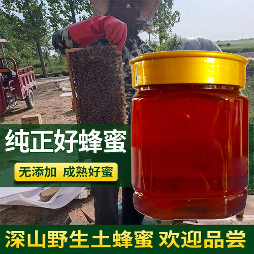 油菜花洋槐花荆条花蜜