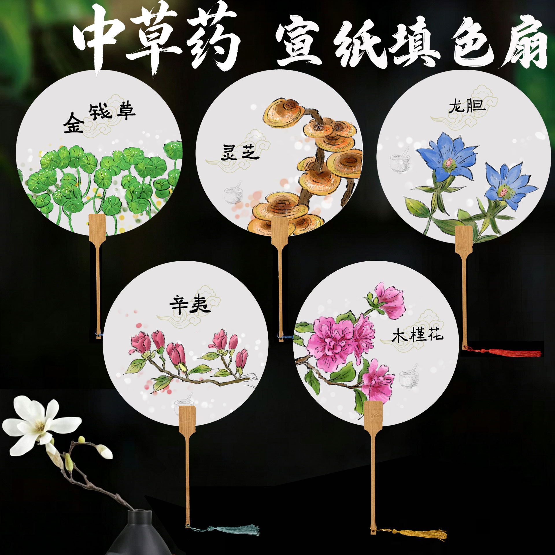 中草药古风手绘团扇空白扇子DIY中国风花卉图案书画团扇绘画材料