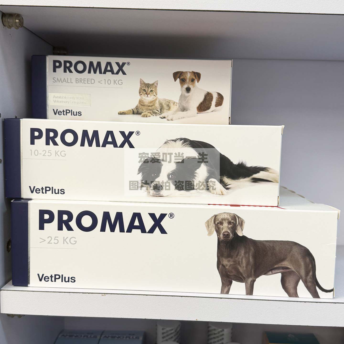 港购 英国vetplus 宠特宝promax 犬猫肠胃消化道系统补充剂益生菌