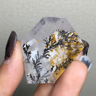 天然小树随形软锰矿黄胶花生命树晶体通透原石打磨手把件饰品摆件