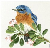 自然派手作热卖 崔西刺绣材料包含手工布艺DIY可来图定制 推荐