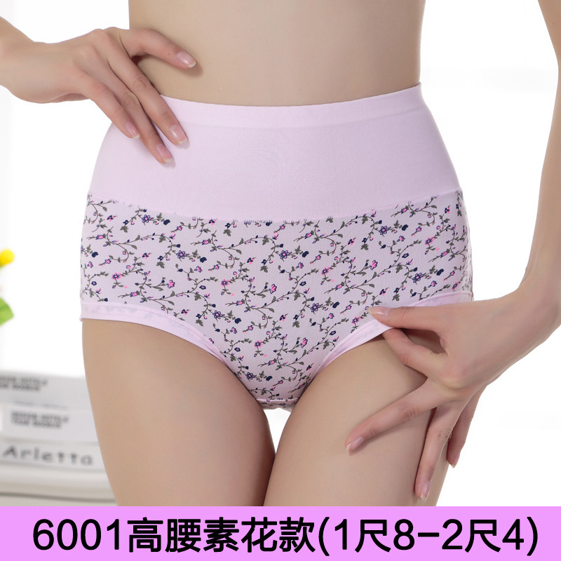 Slip - Ref 666511 Image 4