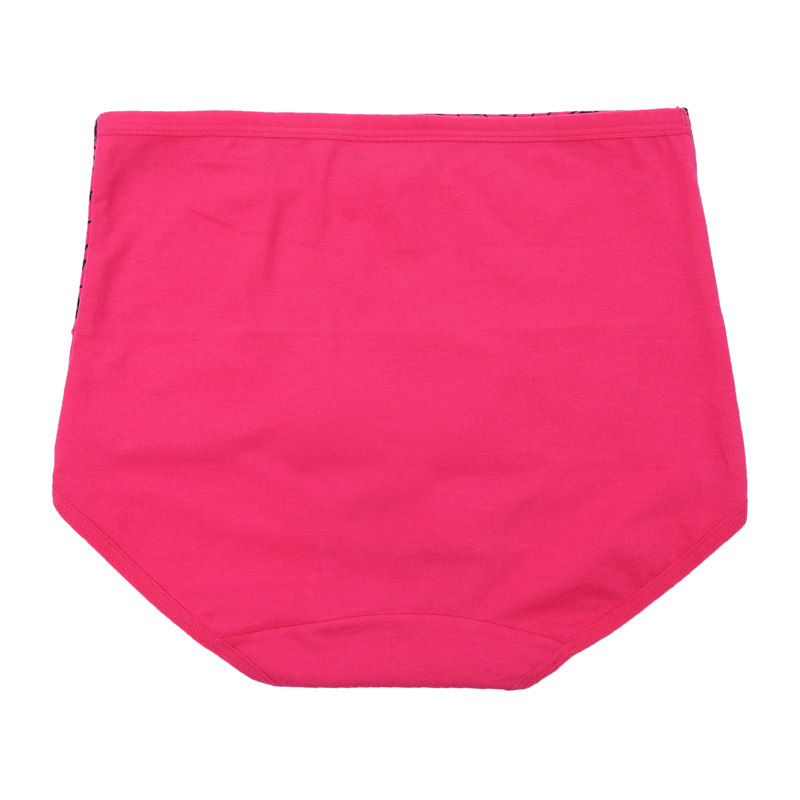 Slip en coton - Ref 666555 Image 5