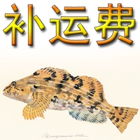 Плата за пополнение рыболовства Luya Fishing Saking Fisherman за пополнение средств