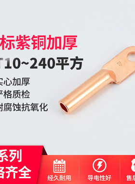 国标电缆接头铜鼻子平方