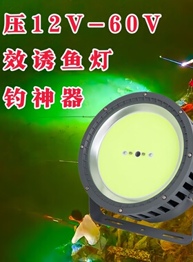 夜钓神器LED高效诱鱼灯12V24V36V48V60V野钓专用聚鱼灯海钓青光灯