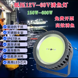 低压渔船捕鱼灯户外12V36V48V电瓶led照明海钓鱿鱼诱鱼集鱼聚鱼灯