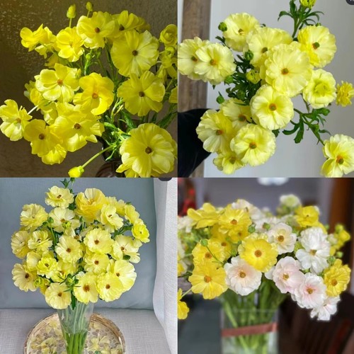 柠檬黄蝴蝶洋牡丹云南优选鲜切花昆明基地直发家用插花节日花