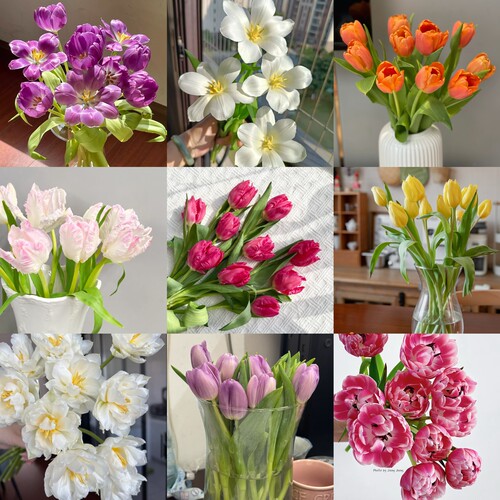 郁金香云南优选鲜切花昆明基地直发家用插花