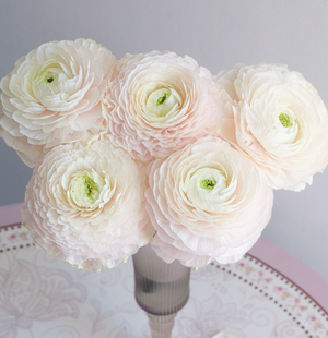 河内洋牡丹云南优选鲜切花昆明基地直发家用插花节日花束