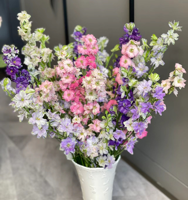 戛纳飞燕云南优选鲜切花昆明基地直发家用插花节日花束